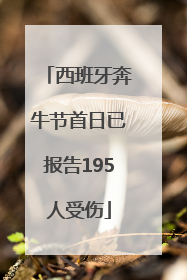 西班牙奔牛节首日已报告195人受伤