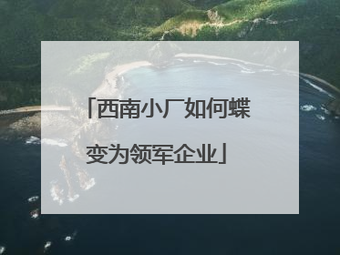西南小厂如何蝶变为领军企业