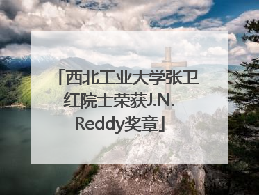 西北工业大学张卫红院士荣获J.N.Reddy奖章