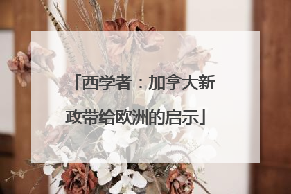 西学者：加拿大新政带给欧洲的启示