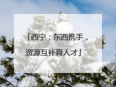 西宁：东西携手，资源互补育人才