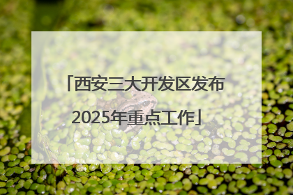 西安三大开发区发布2025年重点工作