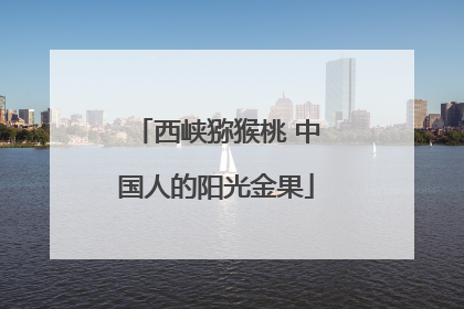 西峡猕猴桃 中国人的阳光金果