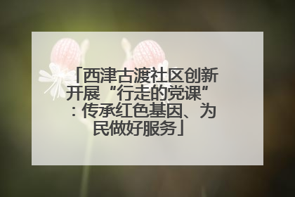 西津古渡社区创新开展“行走的党课”：传承红色基因、为民做好服务