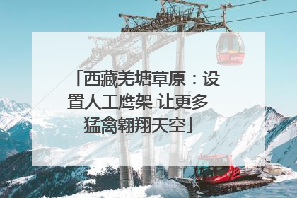 西藏羌塘草原：设置人工鹰架 让更多猛禽翱翔天空