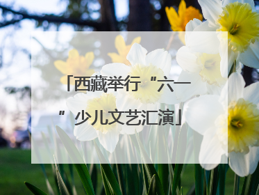 西藏举行“六一”少儿文艺汇演