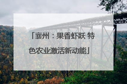 襄州：果香虾跃 特色农业激活新动能