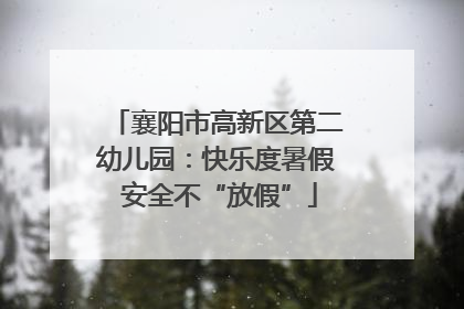 襄阳市高新区第二幼儿园：快乐度暑假 安全不“放假”