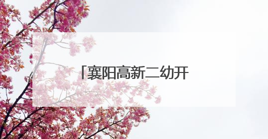 襄阳高新二幼开展“走进小学 遇见成长”活动