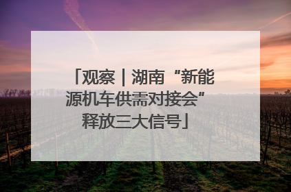 观察｜湖南“新能源机车供需对接会”释放三大信号