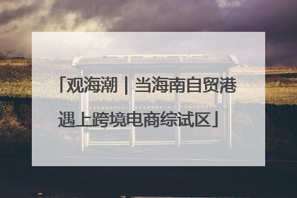 观海潮｜当海南自贸港遇上跨境电商综试区