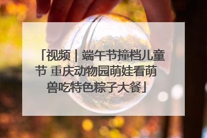 视频｜端午节撞档儿童节 重庆动物园萌娃看萌兽吃特色粽子大餐