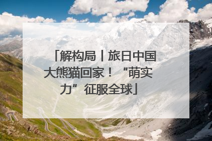 解构局丨旅日中国大熊猫回家！“萌实力”征服全球