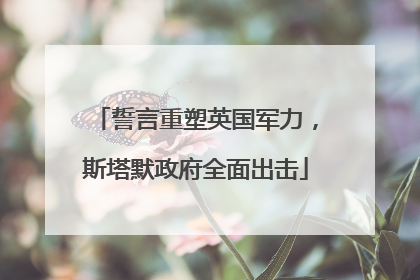 誓言重塑英国军力，斯塔默政府全面出击