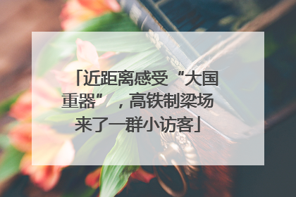 近距离感受“大国重器”，高铁制梁场来了一群小访客
