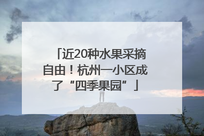 近20种水果采摘自由！杭州一小区成了“四季果园”