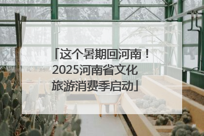这个暑期回河南！2025河南省文化旅游消费季启动