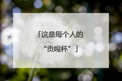 这是每个人的“贡嘎杯”