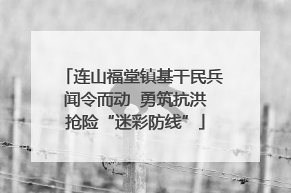 连山福堂镇基干民兵闻令而动  勇筑抗洪抢险“迷彩防线”