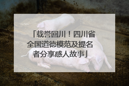 载誉回川！四川省全国道德模范及提名者分享感人故事
