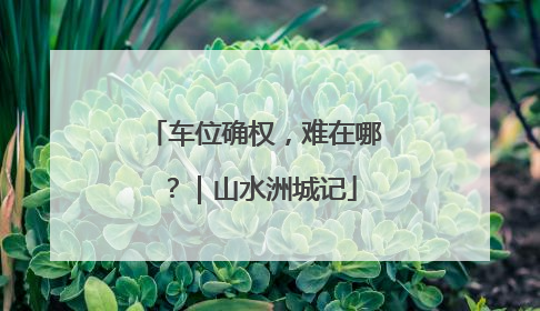 车位确权，难在哪？｜山水洲城记