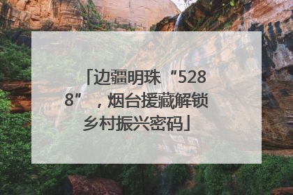边疆明珠“5288”，烟台援藏解锁乡村振兴密码