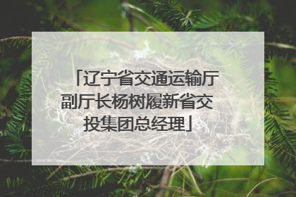 辽宁省交通运输厅副厅长杨树履新省交投集团总经理