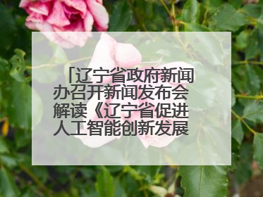 辽宁省政府新闻办召开新闻发布会解读《辽宁省促进人工智能创新发展实施方案》