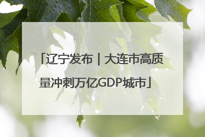 辽宁发布｜大连市高质量冲刺万亿GDP城市