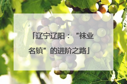 辽宁辽阳：“袜业名镇”的进阶之路