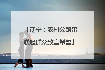 辽宁：农村公路串联起群众致富希望