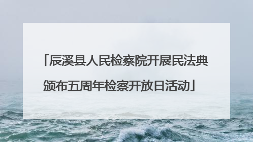 辰溪县人民检察院开展民法典颁布五周年检察开放日活动