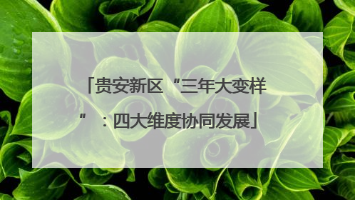 贵安新区“三年大变样”：四大维度协同发展