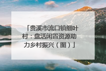 贵溪市流口镇细叶村：盘活闲置资源助力乡村振兴（图）