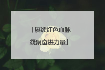 赓续红色血脉 凝聚奋进力量