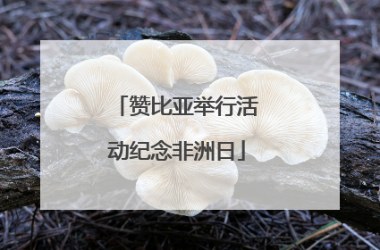 赞比亚举行活动纪念非洲日
