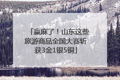 赢麻了！山东这些旅游商品全国大赛斩获3金1银5铜