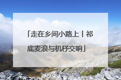 走在乡间小路上丨祁底麦浪与机杼交响