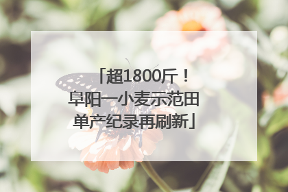 超1800斤！阜阳一小麦示范田单产纪录再刷新