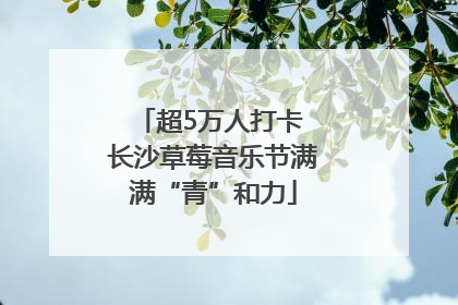 超5万人打卡 长沙草莓音乐节满满“青”和力