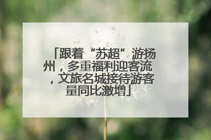跟着“苏超”游扬州，多重福利迎客流，文旅名城接待游客量同比激增