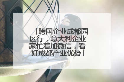 跨国企业成都园区行，意大利企业家忙着加微信，看好成都产业优势