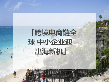 跨境电商链全球 中小企业迎出海新机