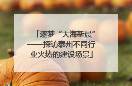逐梦“大海新晨”——探访泰州不同行业火热的建设场景