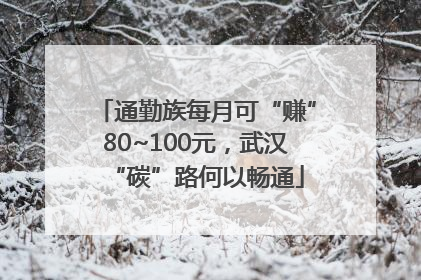 通勤族每月可“赚”80~100元，武汉“碳”路何以畅通