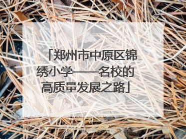 郑州市中原区锦绣小学——名校的高质量发展之路