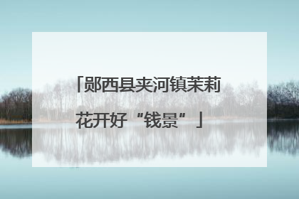 郧西县夹河镇茉莉花开好“钱景”