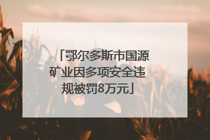 鄂尔多斯市国源矿业因多项安全违规被罚8万元