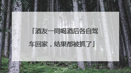 酒友一同喝酒后各自驾车回家，结果都被抓了