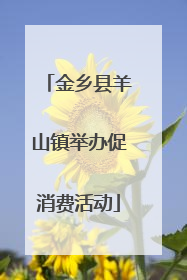 金乡县羊山镇举办促消费活动